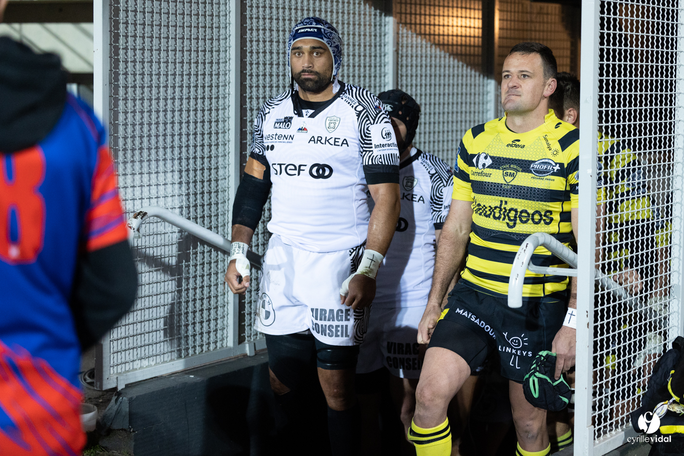 Stade Montois Rugby - Vannes