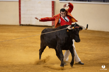 Horsarrieu course landaise du boléro d'Argent