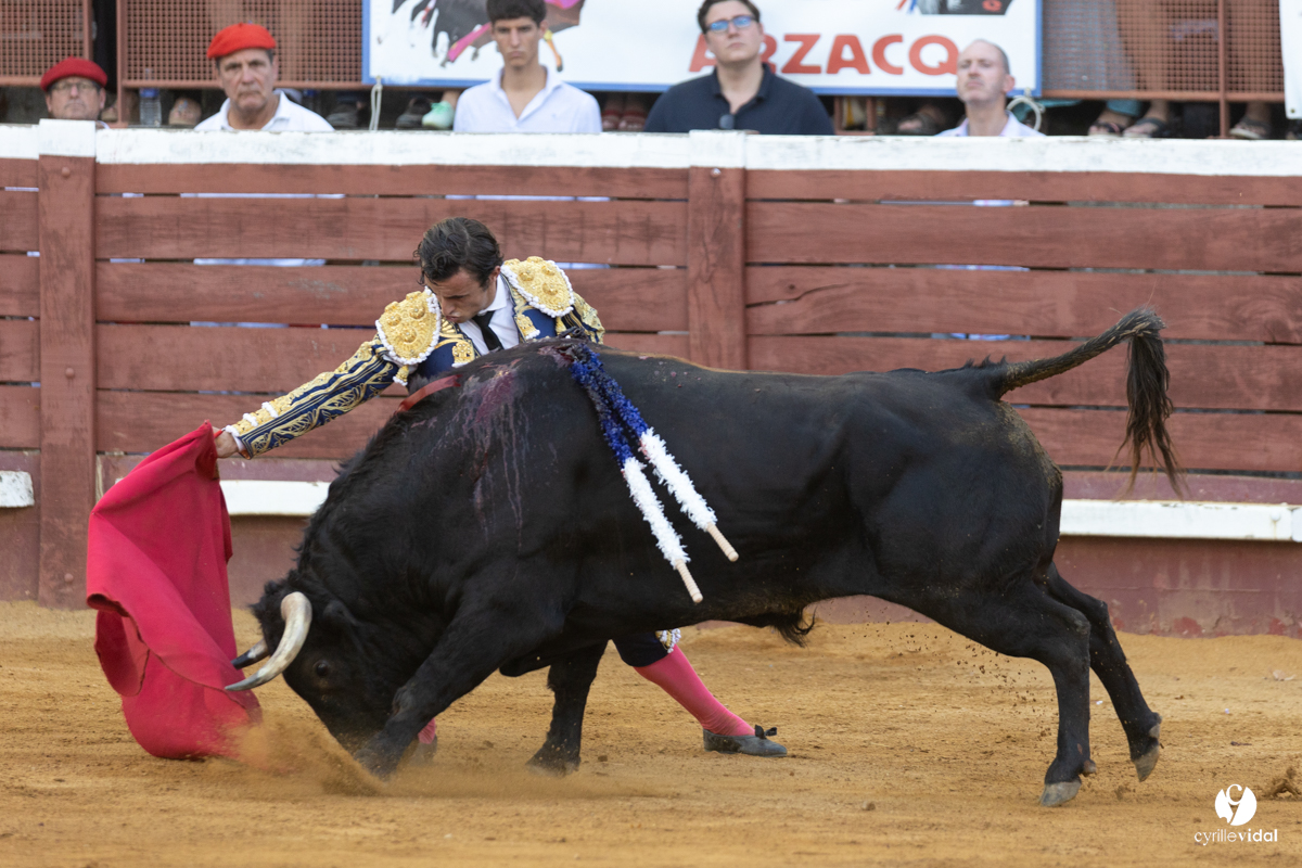 Corrida de Villeneuve-de-Marsan