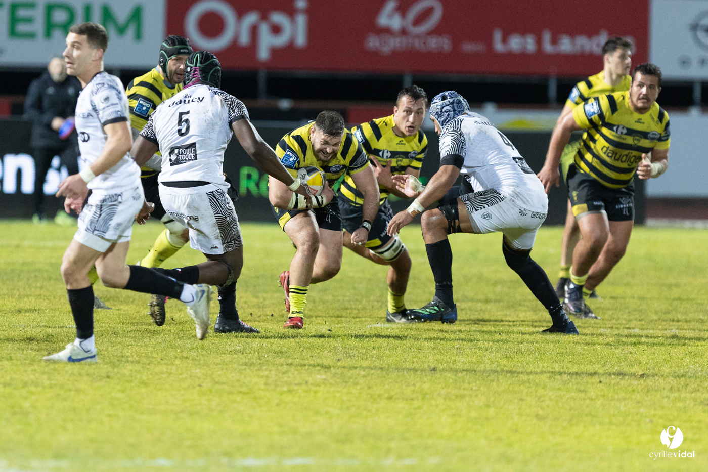 Stade Montois Rugby - Vannes