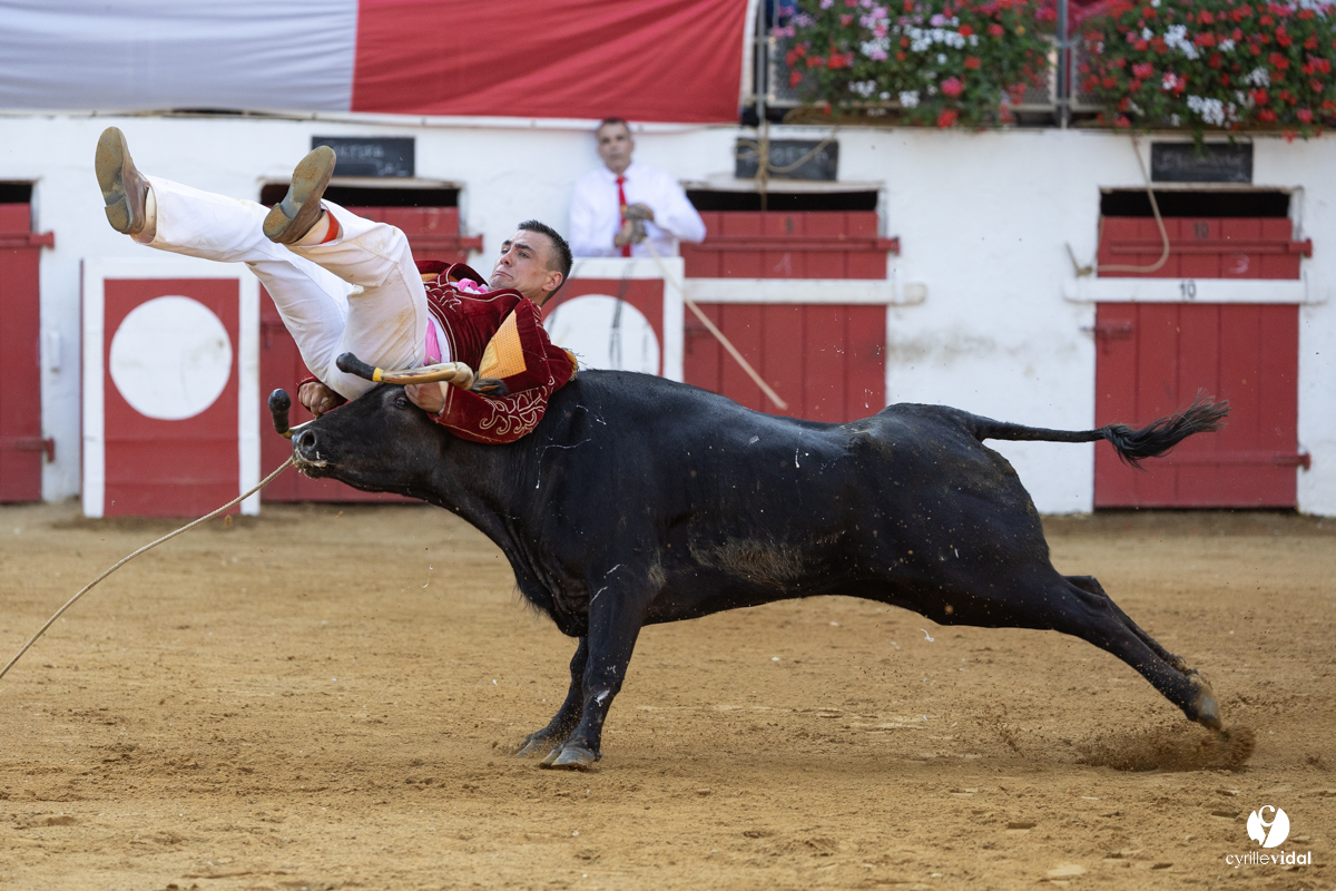Nogaro Corne d'Or 2023