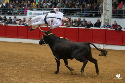 Nogaro Championnatde France de Course Landaise 2017