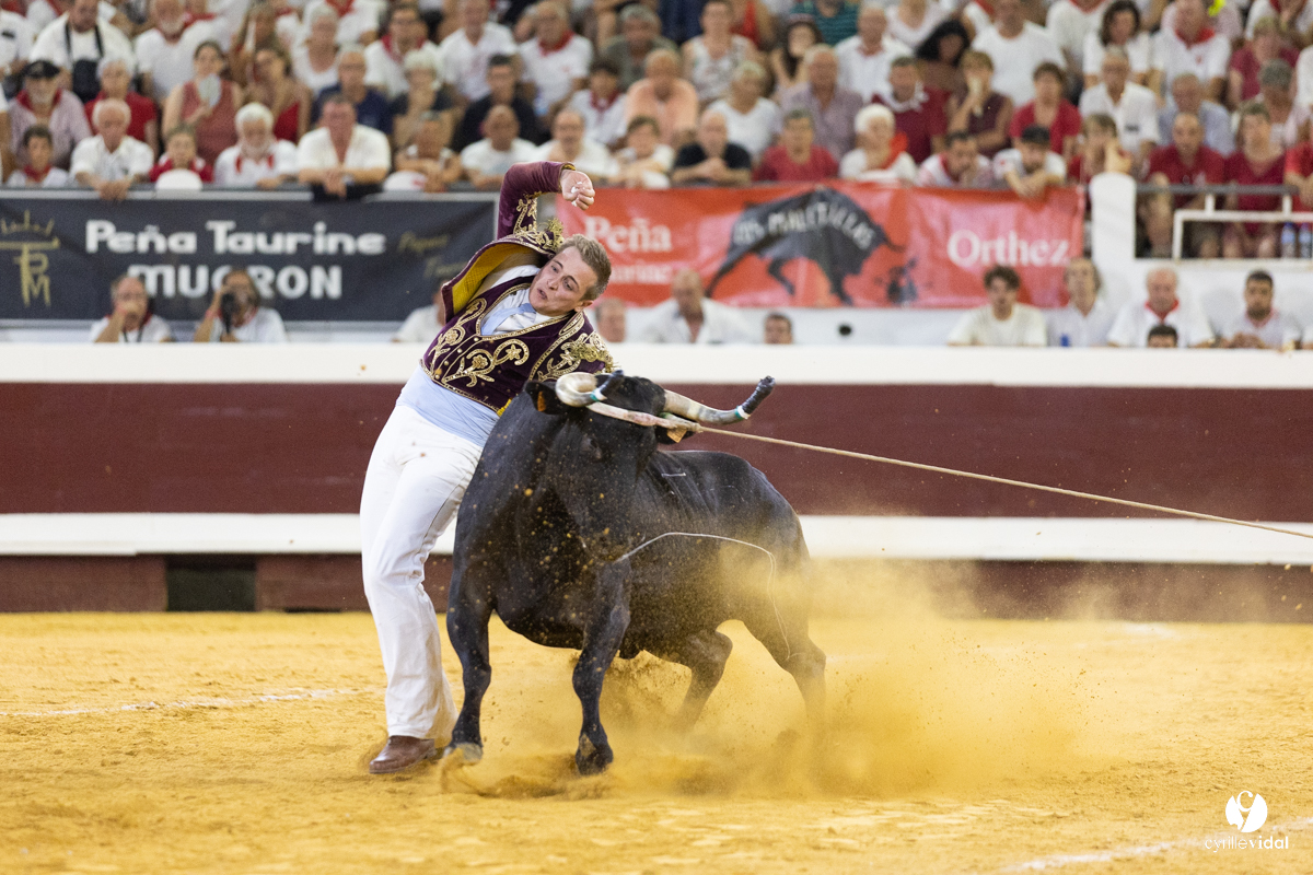 Dax concours landais 2022