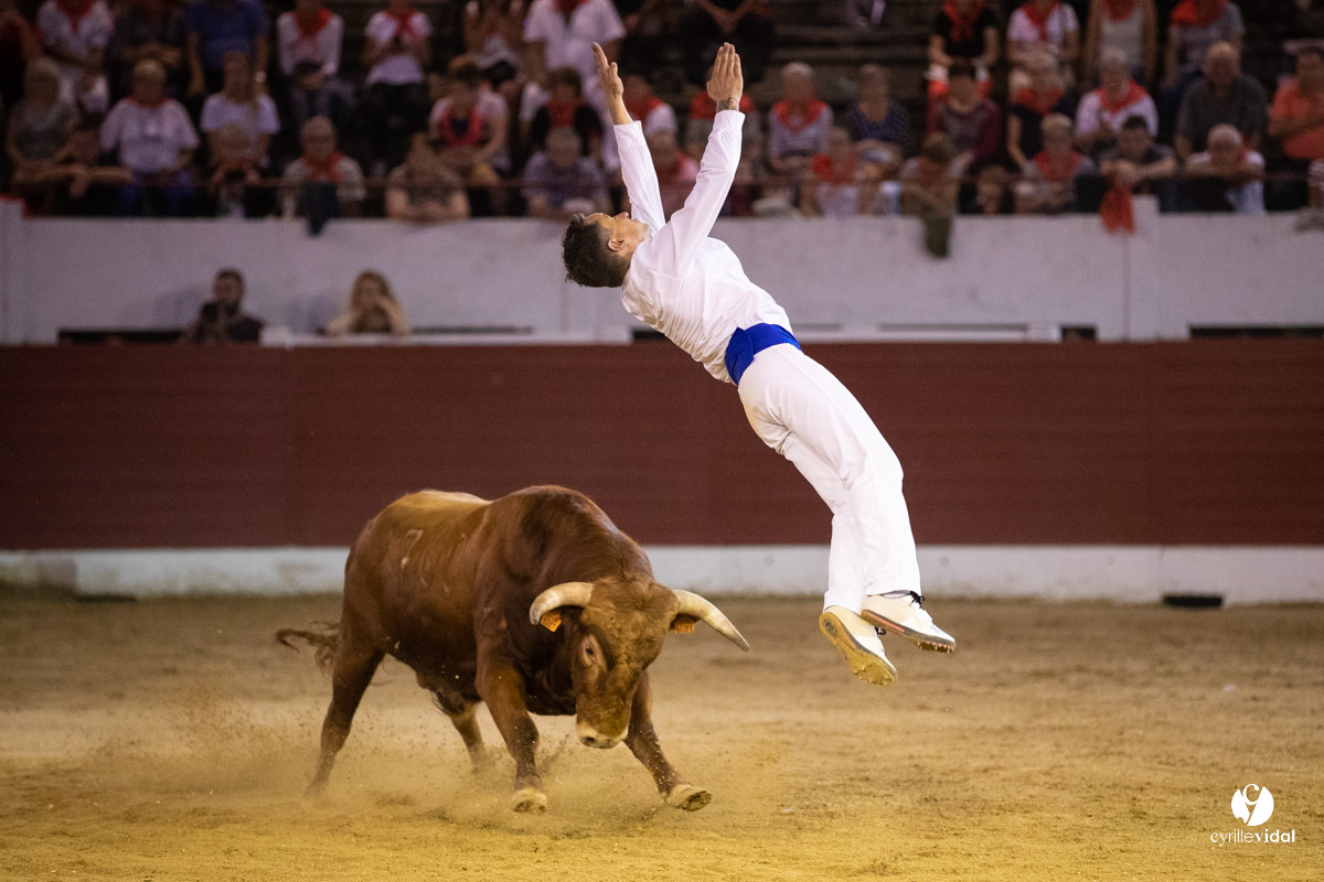 Landes émotions à Aire-sur-l'Adour
