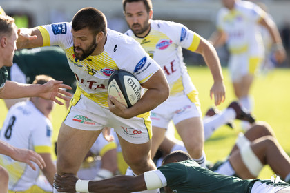 Stade Montois Rugby - Section Paloise