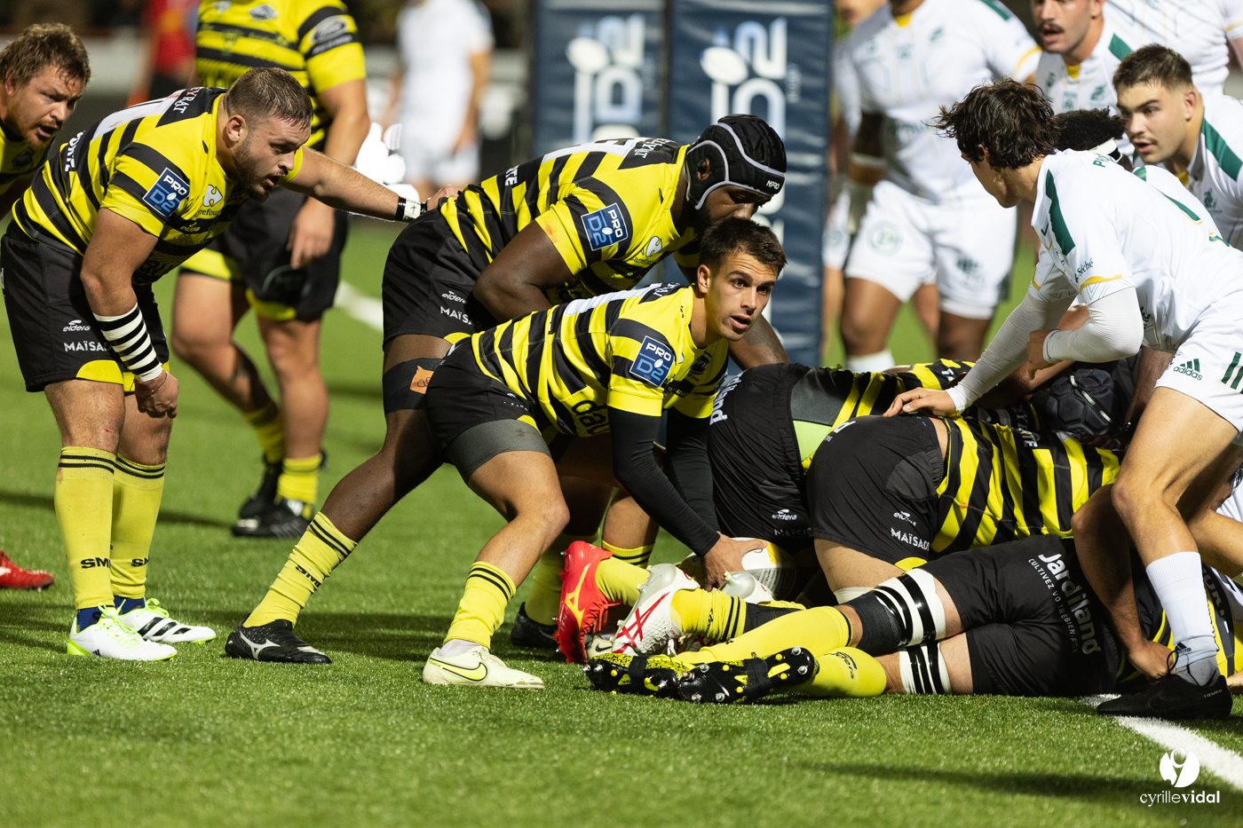 Stade Montois Rugby - Montauban