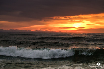 Océan Capbreton - Hossegor et Lac