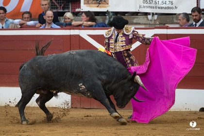 Mont-de-Marsan corrida de la Quinta pour Juan Bautista - Emilio de Justo - Thomas DUFAU