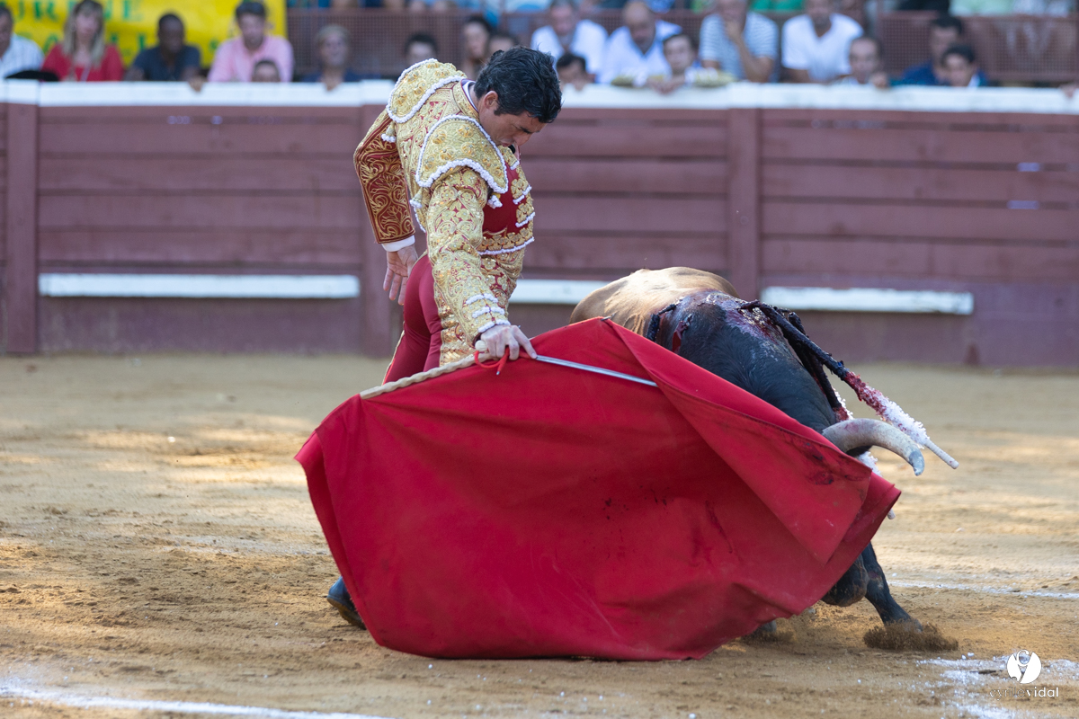 Corrida de Villeneuve-de-Marsan
