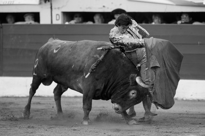 corrida, toro, vic fezensac, alcurrucen, michelito, morenito de aranda