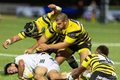 Stade Montois Rugby - Montauban