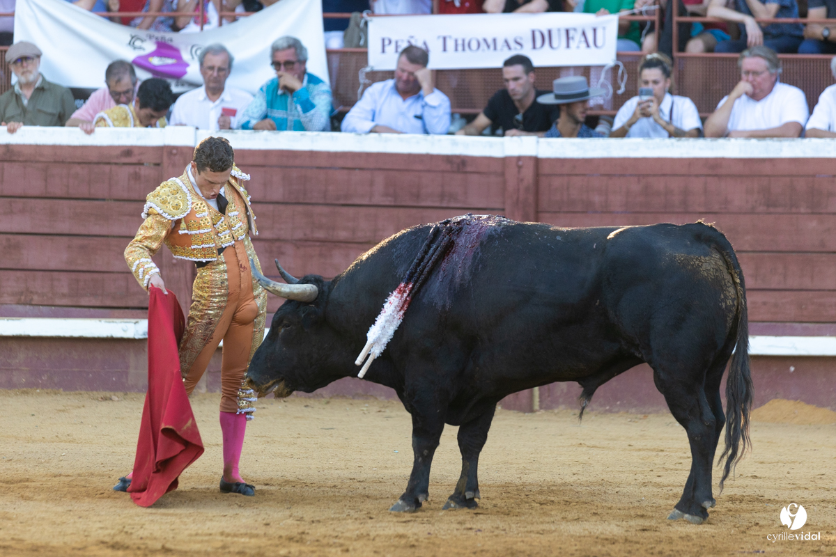 Corrida de Villeneuve-de-Marsan