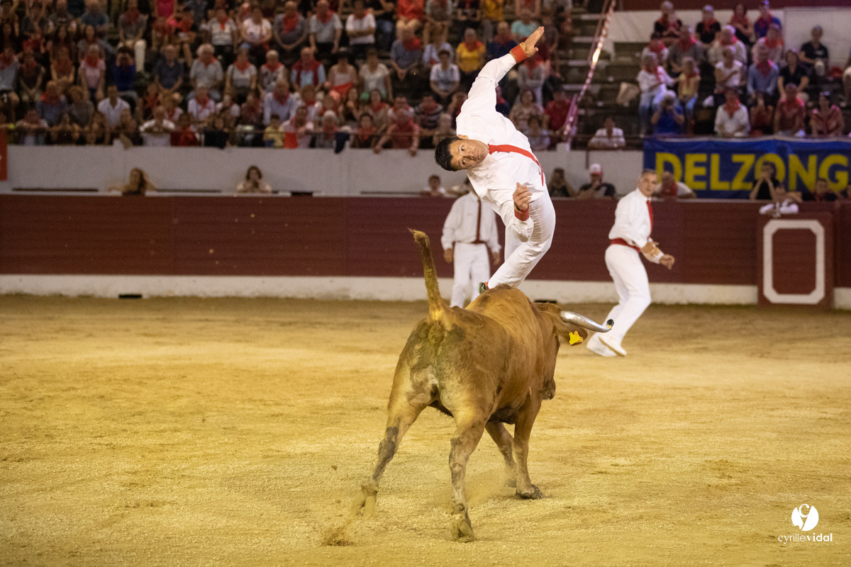 Landes émotions à Aire-sur-l'Adour