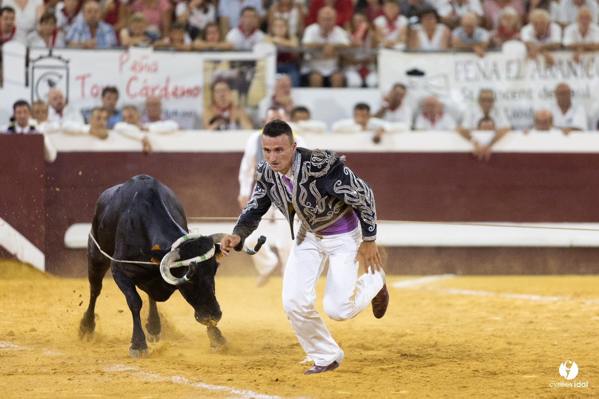 Dax concours landais 2022