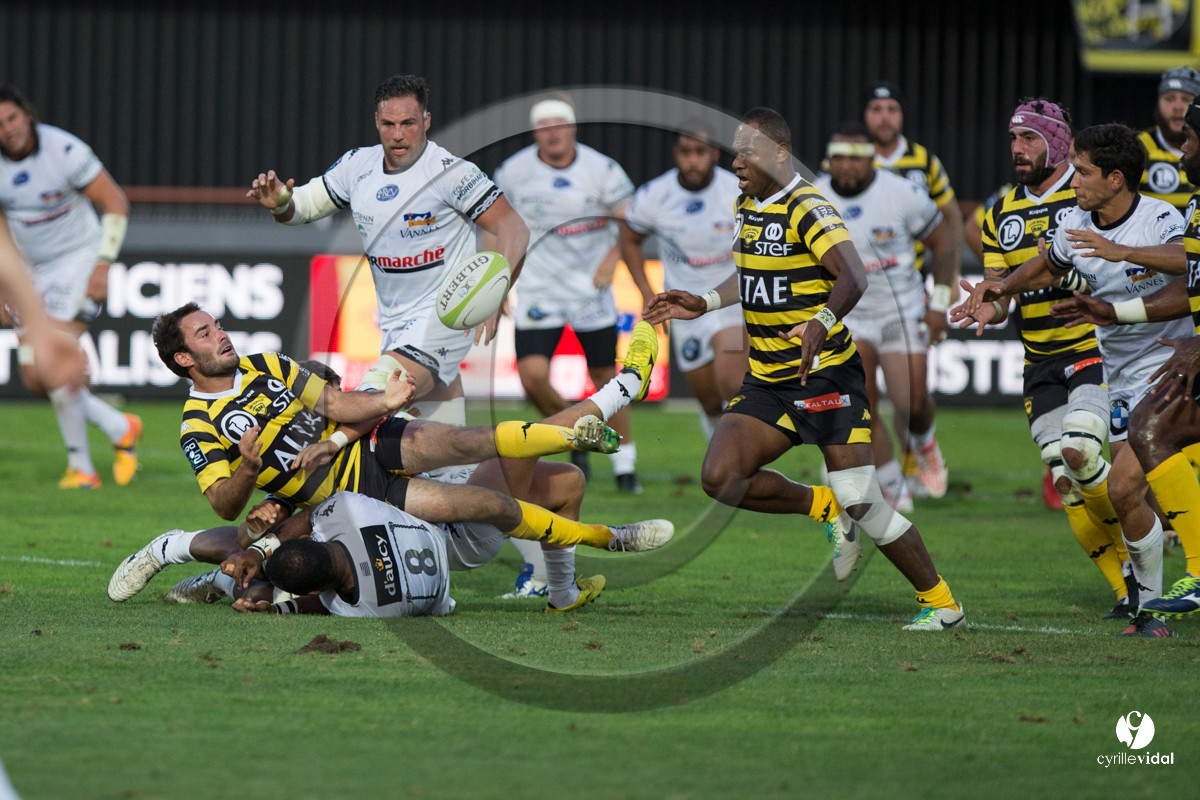 Rugby STADE MONTOIS - VANNES