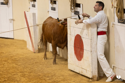Horsarrieu course landaise du boléro d'Argent