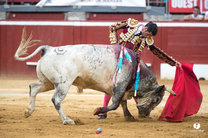 Mont-de-Marsan corrida de la Quinta pour Juan Bautista - Emilio de Justo - Thomas DUFAU