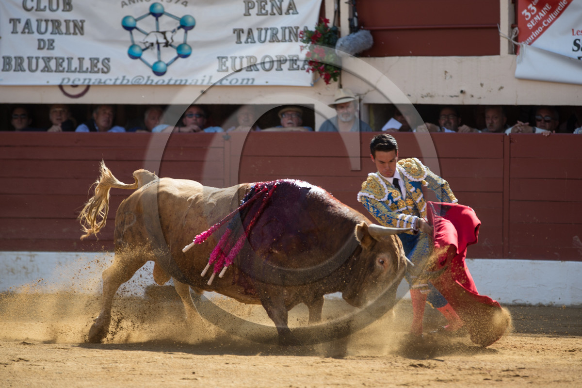 corrida, toro, vic fezensac, alcurrucen, michelito, morenito de aranda