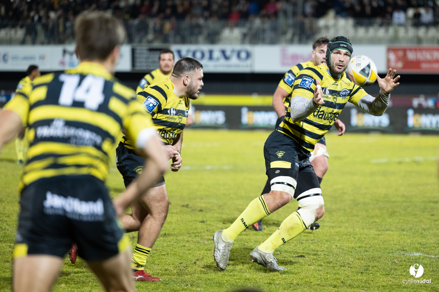 Stade Montois Rugby - Vannes