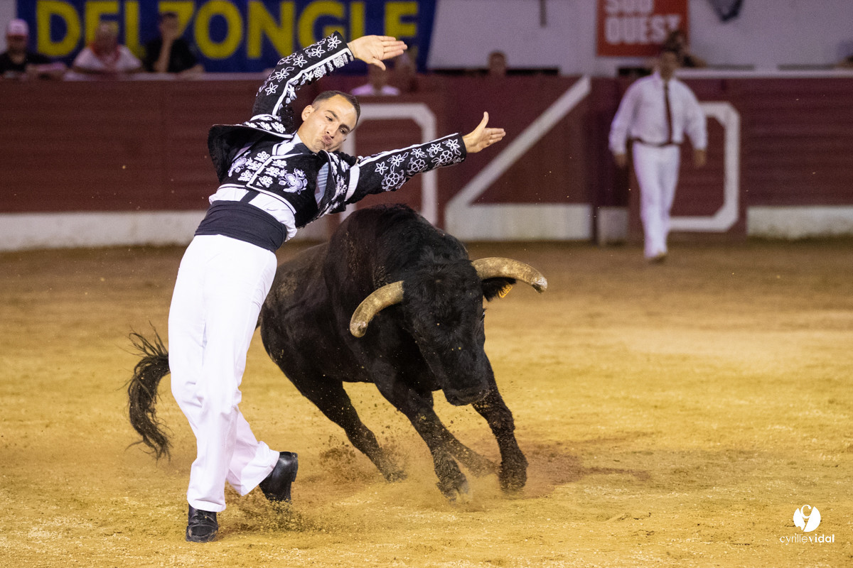 Landes émotions à Aire-sur-l'Adour