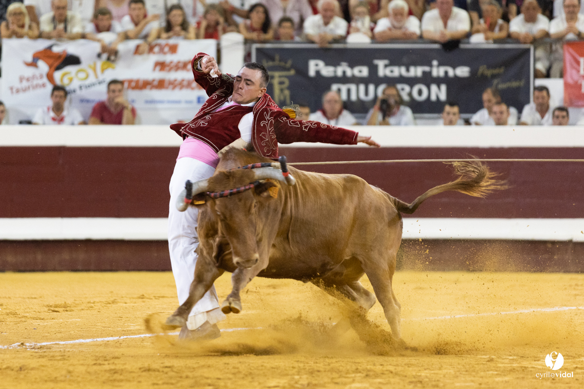 Dax concours landais 2022