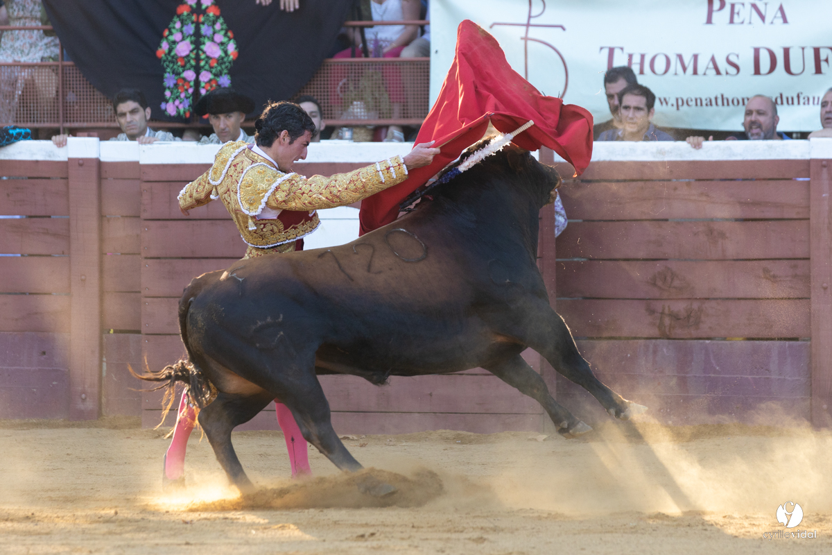 Corrida de Villeneuve-de-Marsan