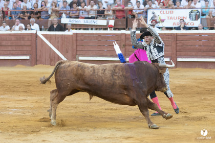 Corrida de Villeneuve-de-Marsan