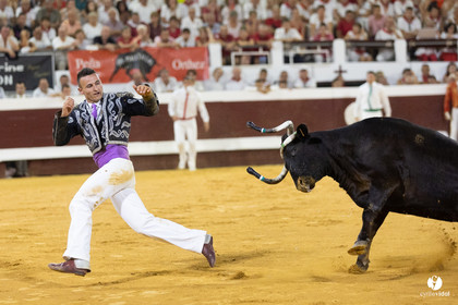 Dax concours landais 2022