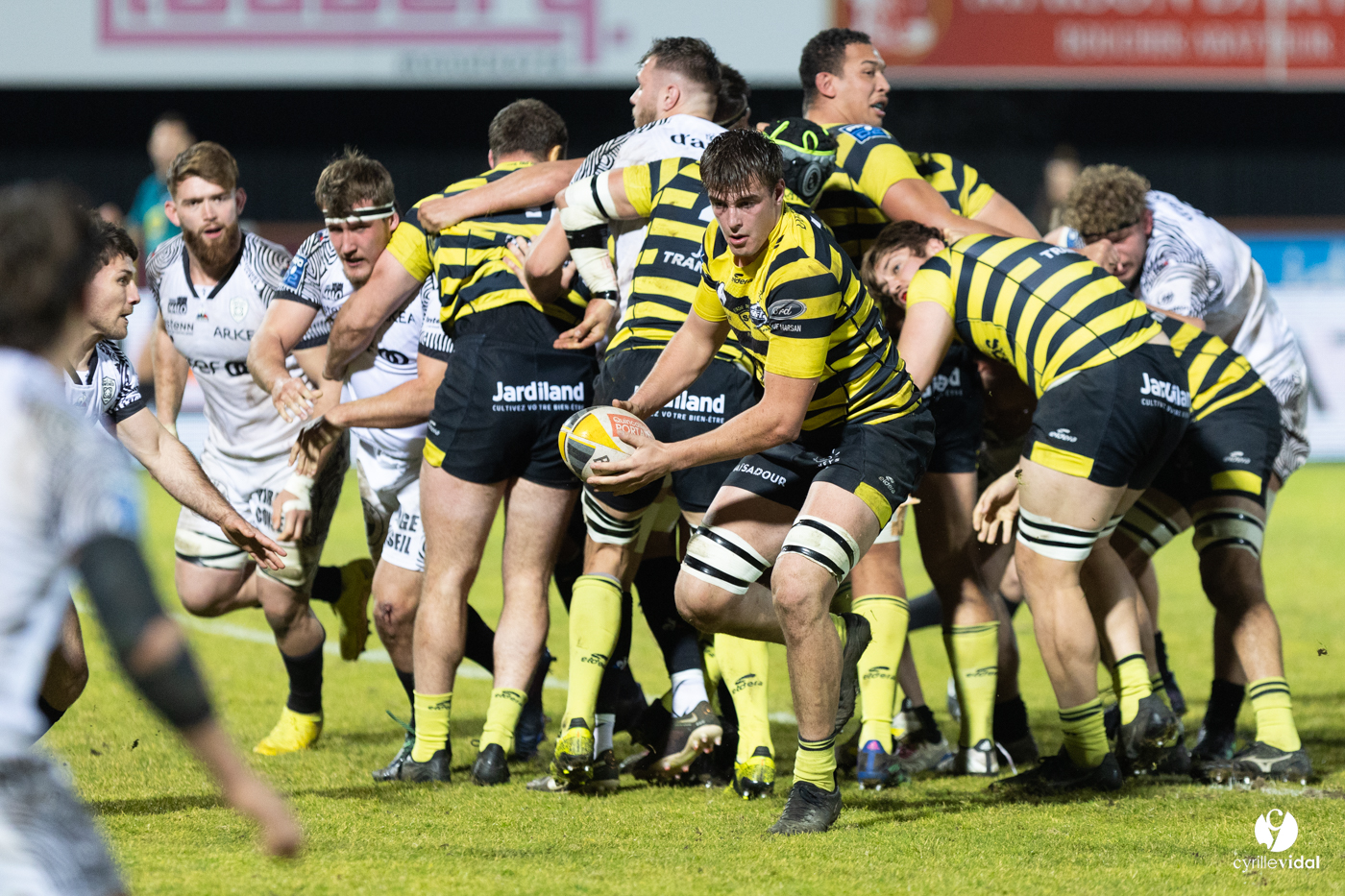 Stade Montois Rugby - Vannes