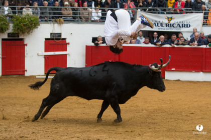 Nogaro Championnatde France de Course Landaise 2017