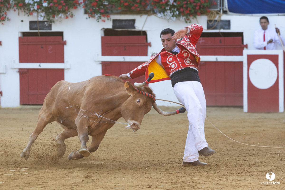Nogaro Corne d'Or 2023