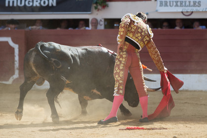corrida, toro, vic fezensac, alcurrucen, michelito, morenito de aranda