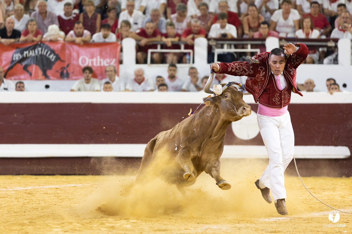 Dax concours landais 2022